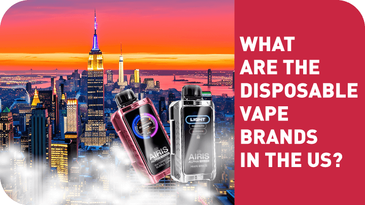 What are the disposable vape brands in the US